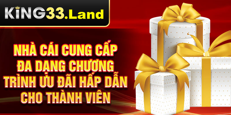 Nhà cái cung cấp đa dạng chương trình ưu đãi hấp dẫn cho thành viên